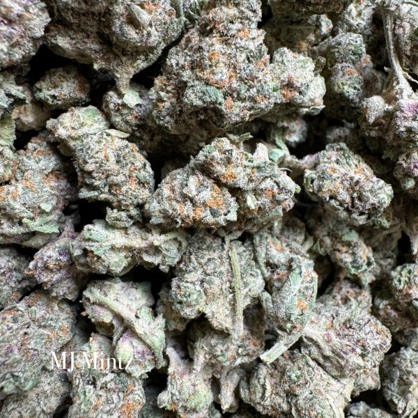 Indoor MJ Mintz Online