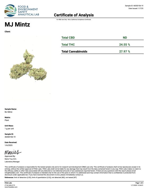 Indoor MJ Mintz Online - Image 2